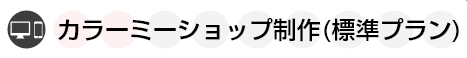 カラーミーショップ制作(標準プラン)
