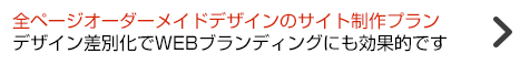 全ページオーダーメイドデザインのサイト制作プラン