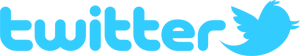 logo_twitter_withbird_1000_allblue Twitter