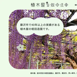 植木屋さんのWordPressでのホームページ制作事例