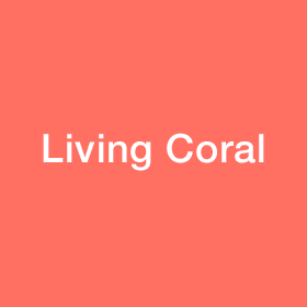 Living Coral(リビングコーラル)、PANTONEが発表した2019年の色